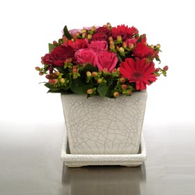 Bold Red Style Pot of Flowers